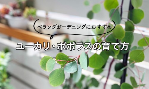 肛裂一直没好要手术吗-肛裂一直不好会怎么样网- 肛裂持续不好知识,分享肛裂迟迟不好怎么办